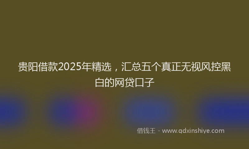 贵阳借款2025年精选，汇总五个真正无视风控黑白的网贷口子