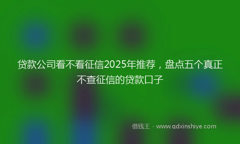 贷款公司看不看征信2025年推荐，盘点五个真正不查征信的贷款口子