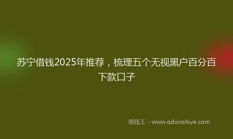 苏宁借钱2025年推荐，梳理五个无视黑户百分百下款口子