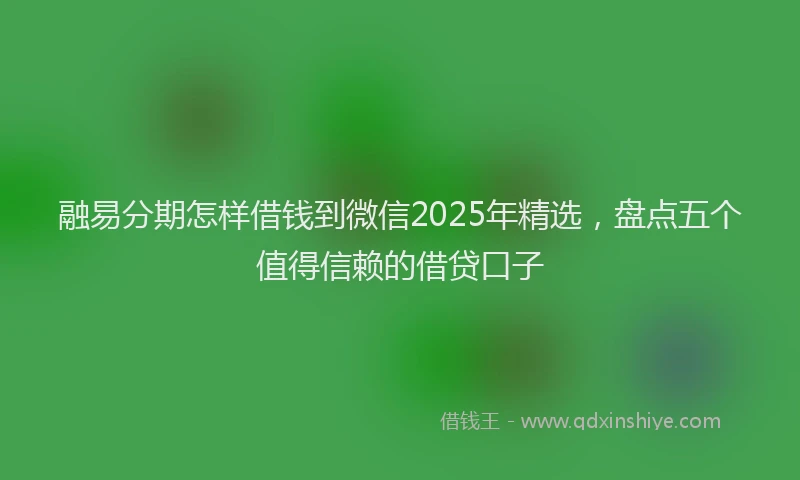 融易分期怎样借钱到微信2025年精选，盘点五个值得信赖的借贷口子