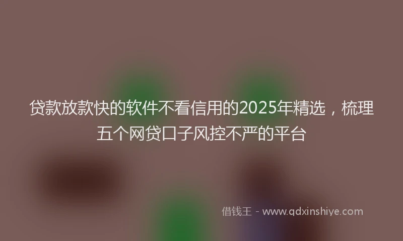 贷款放款快的软件不看信用的2025年精选，梳理五个网贷口子风控不严的平台