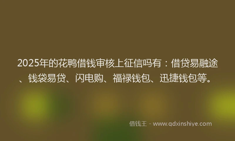 2025年的花鸭借钱审核上征信吗有：借贷易融途、钱袋易贷、闪电购、福禄钱包、迅捷钱包等。