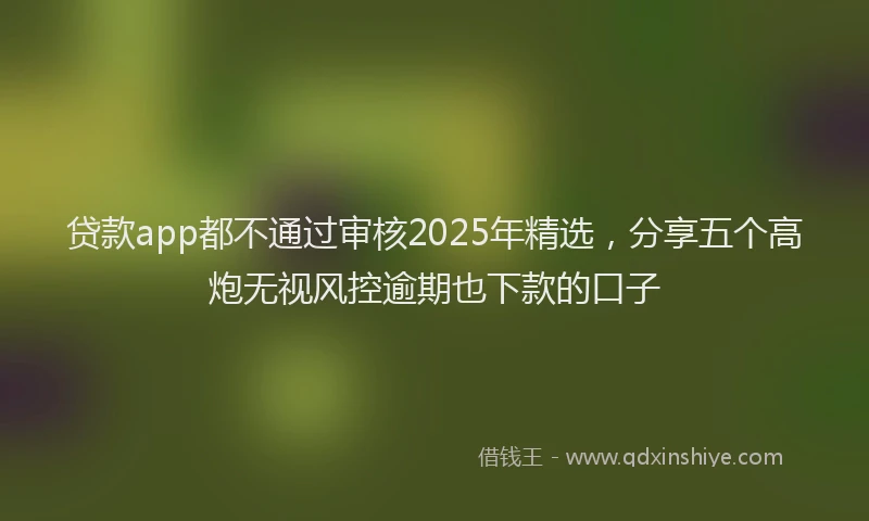 贷款app都不通过审核2025年精选，分享五个高炮无视风控逾期也下款的口子
