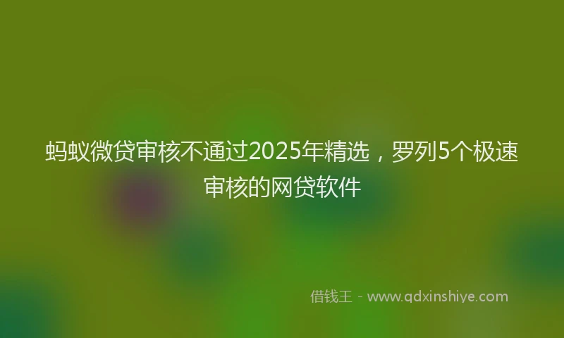 蚂蚁微贷审核不通过2025年精选，罗列5个极速审核的网贷软件