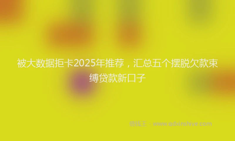 被大数据拒卡2025年推荐，汇总五个摆脱欠款束缚贷款新口子