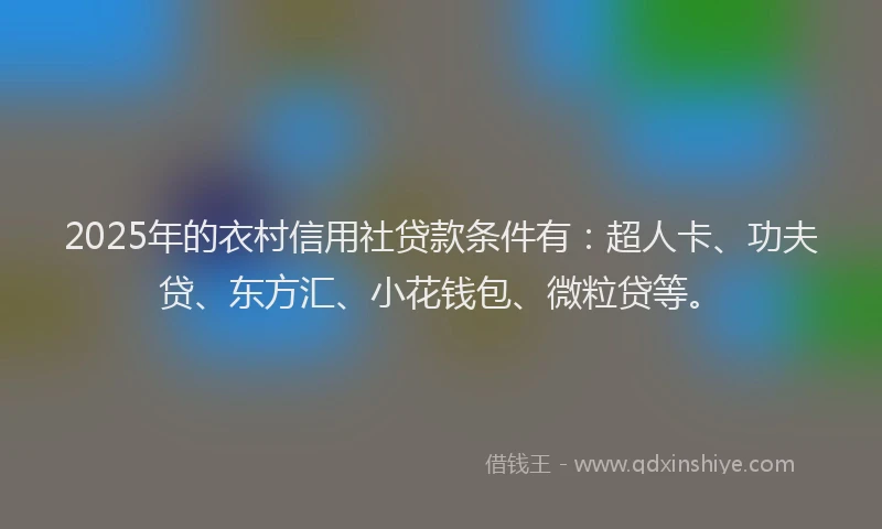 2025年的衣村信用社贷款条件有：超人卡、功夫贷、东方汇、小花钱包、微粒贷等。