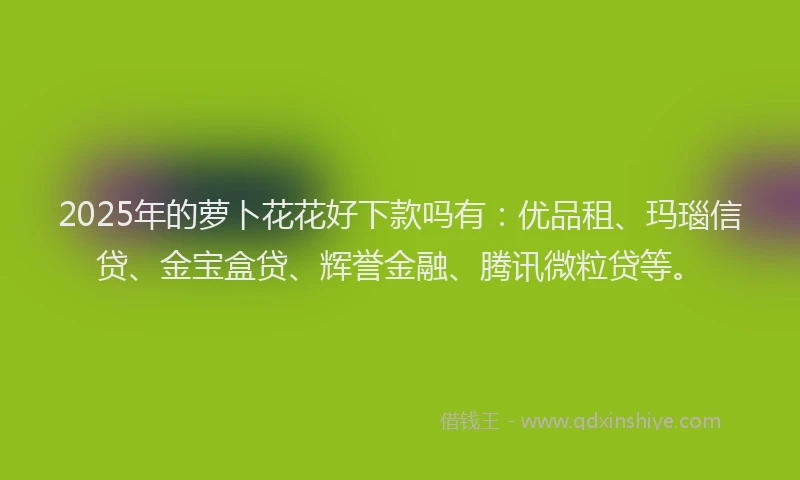 2025年的萝卜花花好下款吗有：优品租、玛瑙信贷、金宝盒贷、辉誉金融、腾讯微粒贷等。