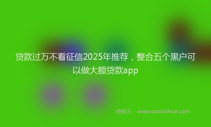 贷款过万不看征信2025年推荐，整合五个黑户可以做大额贷款app