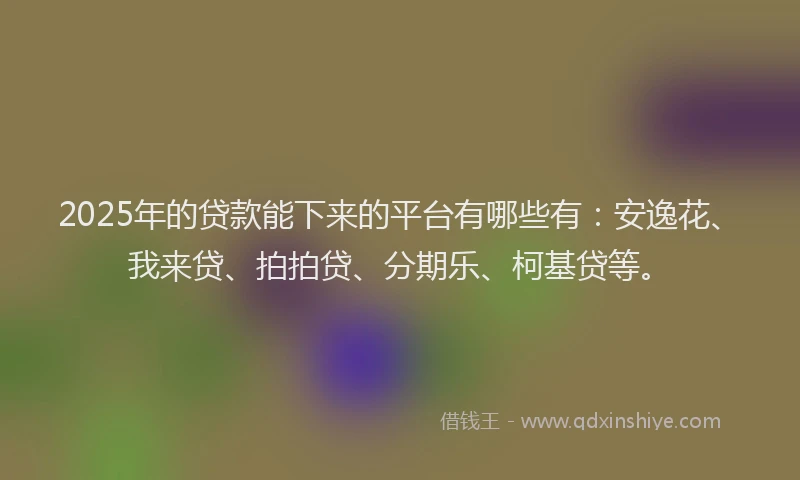 2025年的贷款能下来的平台有哪些有：安逸花、我来贷、拍拍贷、分期乐、柯基贷等。