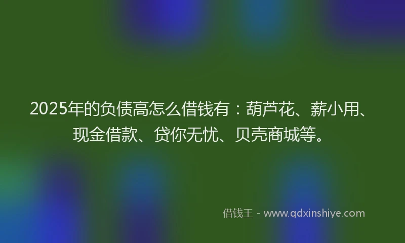 2025年的负债高怎么借钱有：葫芦花、薪小用、现金借款、贷你无忧、贝壳商城等。