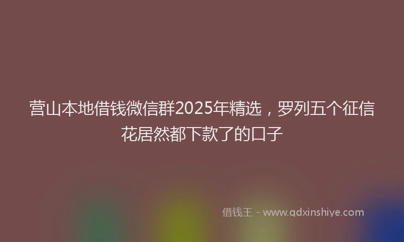 营山本地借钱微信群2025年精选，罗列五个征信花居然都下款了的口子