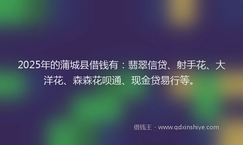 2025年的蒲城县借钱有：翡翠信贷、射手花、大洋花、森森花呗通、现金贷易行等。
