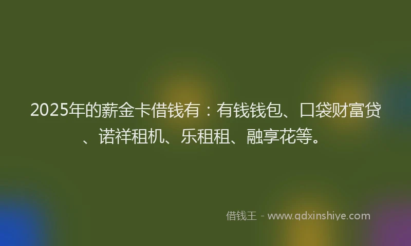 2025年的薪金卡借钱有：有钱钱包、口袋财富贷、诺祥租机、乐租租、融享花等。