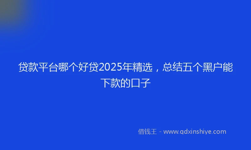 贷款平台哪个好贷2025年精选，总结五个黑户能下款的口子