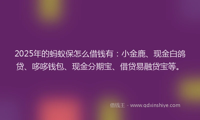 2025年的蚂蚁保怎么借钱有：小金鹿、现金白鸽贷、哆哆钱包、现金分期宝、借贷易融贷宝等。