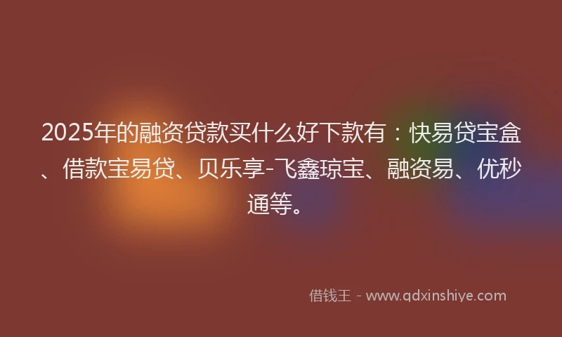 2025年的融资贷款买什么好下款有：快易贷宝盒、借款宝易贷、贝乐享-飞鑫琼宝、融资易、优秒通等。