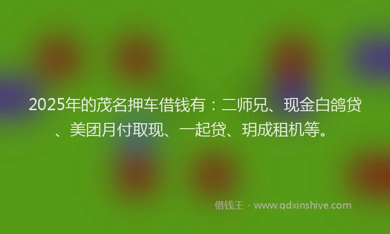 2025年的茂名押车借钱有：二师兄、现金白鸽贷、美团月付取现、一起贷、玥成租机等。