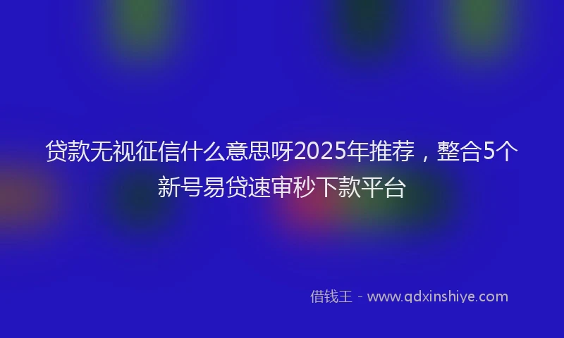 贷款无视征信什么意思呀2025年推荐，整合5个新号易贷速审秒下款平台
