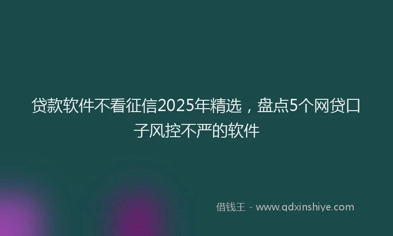 贷款软件不看征信2025年精选，盘点5个网贷口子风控不严的软件