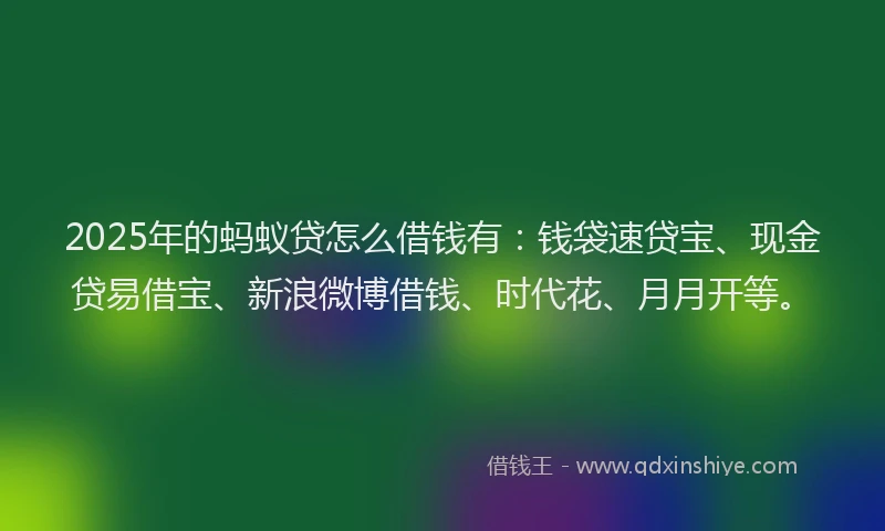 2025年的蚂蚁贷怎么借钱有：钱袋速贷宝、现金贷易借宝、新浪微博借钱、时代花、月月开等。