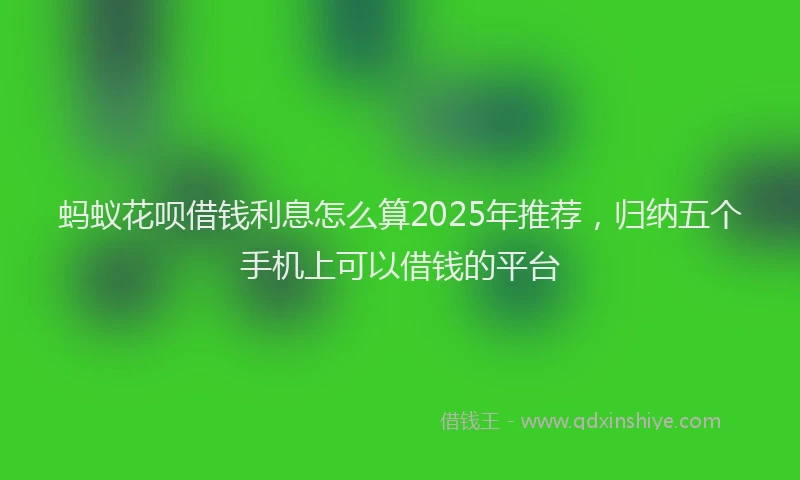 蚂蚁花呗借钱利息怎么算2025年推荐，归纳五个手机上可以借钱的平台