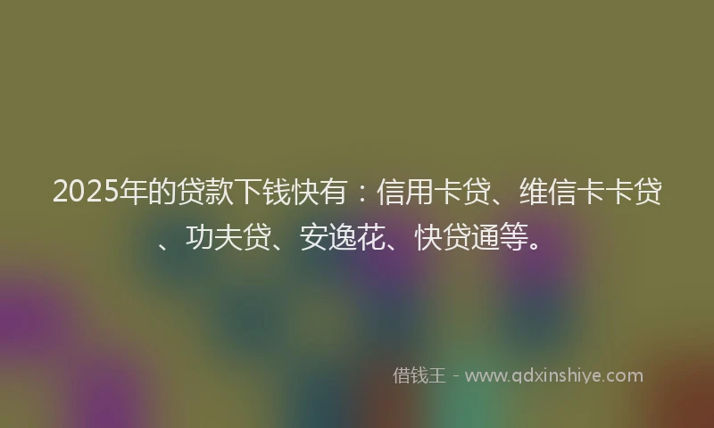 2025年的贷款下钱快有：信用卡贷、维信卡卡贷、功夫贷、安逸花、快贷通等。