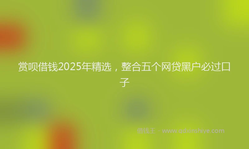 赏呗借钱2025年精选，整合五个网贷黑户必过口子