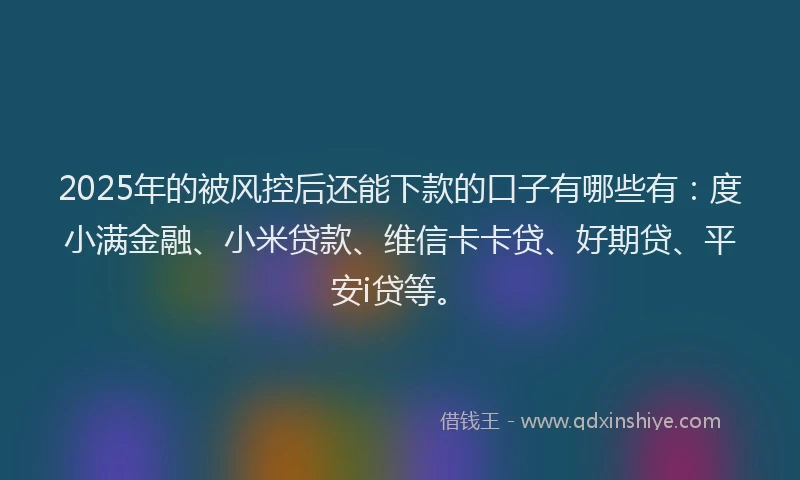 2025年的被风控后还能下款的口子有哪些有：度小满金融、小米贷款、维信卡卡贷、好期贷、平安i贷等。