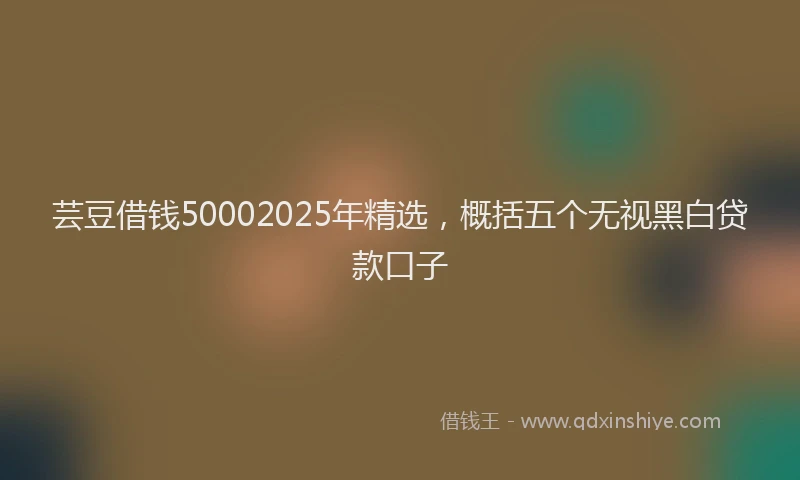 芸豆借钱50002025年精选，概括五个无视黑白贷款口子