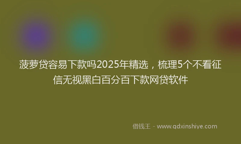 菠萝贷容易下款吗2025年精选，梳理5个不看征信无视黑白百分百下款网贷软件