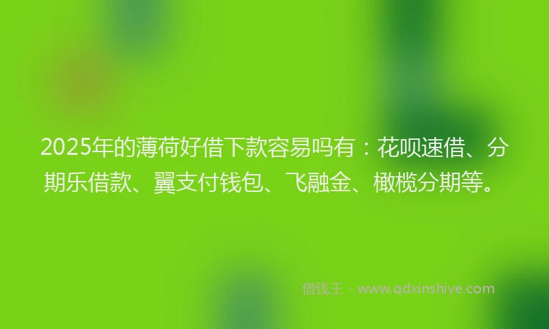 2025年的薄荷好借下款容易吗有：花呗速借、分期乐借款、翼支付钱包、飞融金、橄榄分期等。