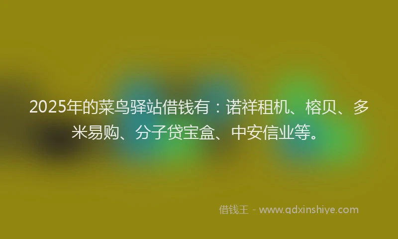 2025年的菜鸟驿站借钱有：诺祥租机、榕贝、多米易购、分子贷宝盒、中安信业等。