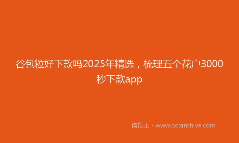 谷包粒好下款吗2025年精选，梳理五个花户3000秒下款app
