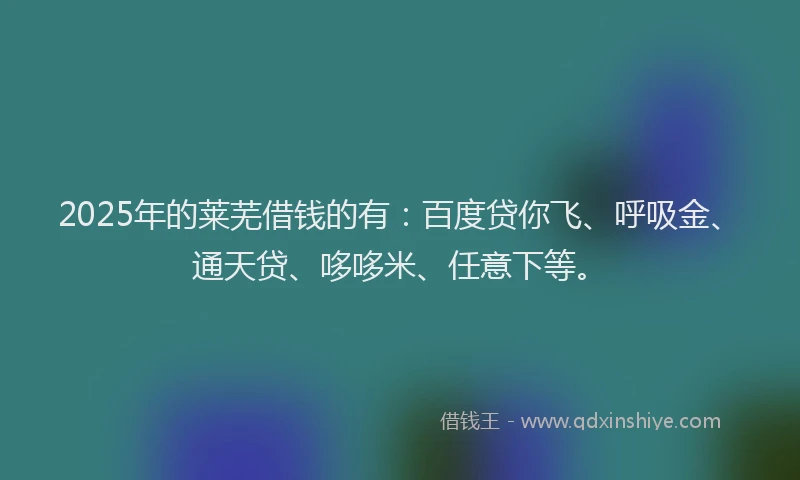 2025年的莱芜借钱的有：百度贷你飞、呼吸金、通天贷、哆哆米、任意下等。
