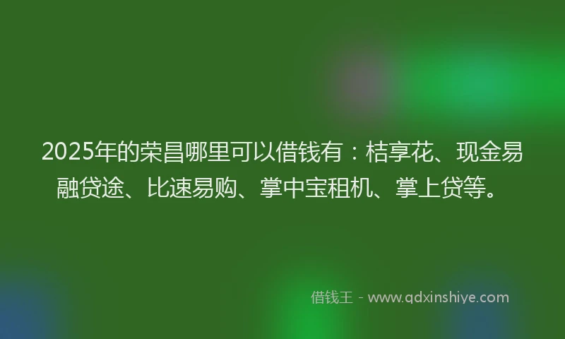 2025年的荣昌哪里可以借钱有：桔享花、现金易融贷途、比速易购、掌中宝租机、掌上贷等。