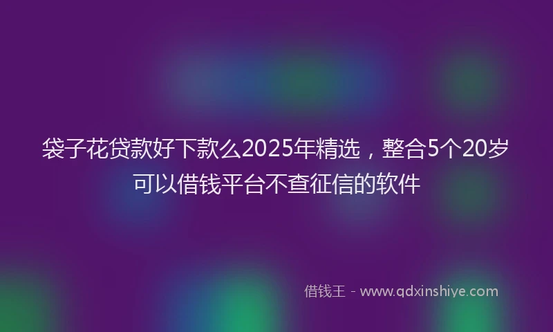 袋子花贷款好下款么2025年精选，整合5个20岁可以借钱平台不查征信的软件