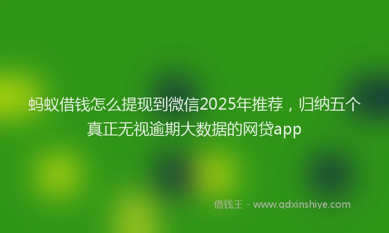 蚂蚁借钱怎么提现到微信2025年推荐，归纳五个真正无视逾期大数据的网贷app
