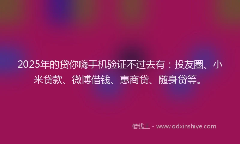 2025年的贷你嗨手机验证不过去有：投友圈、小米贷款、微博借钱、惠商贷、随身贷等。