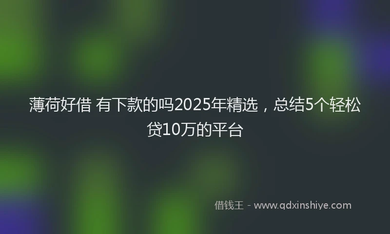 薄荷好借 有下款的吗2025年精选，总结5个轻松贷10万的平台