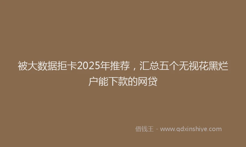 被大数据拒卡2025年推荐，汇总五个无视花黑烂户能下款的网贷