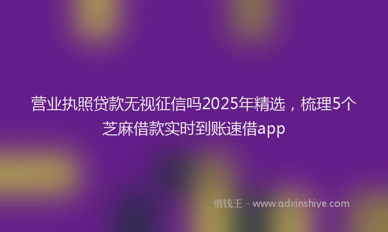 营业执照贷款无视征信吗2025年精选，梳理5个芝麻借款实时到账速借app