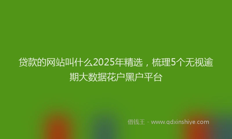 贷款的网站叫什么2025年精选，梳理5个无视逾期大数据花户黑户平台