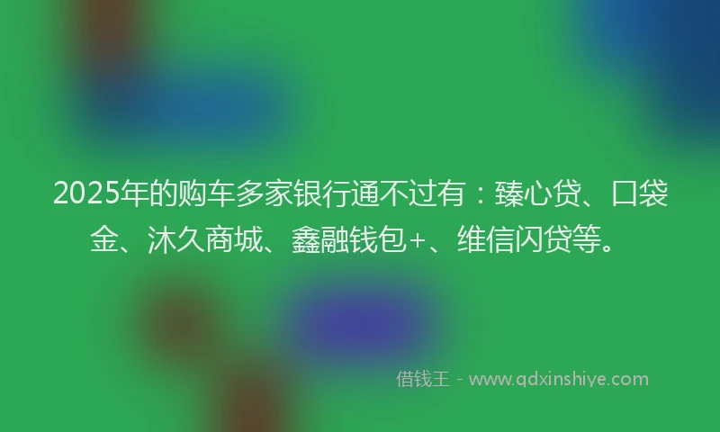 2025年的购车多家银行通不过有：臻心贷、口袋金、沐久商城、鑫融钱包+、维信闪贷等。