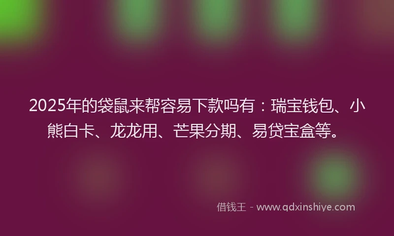 2025年的袋鼠来帮容易下款吗有：瑞宝钱包、小熊白卡、龙龙用、芒果分期、易贷宝盒等。