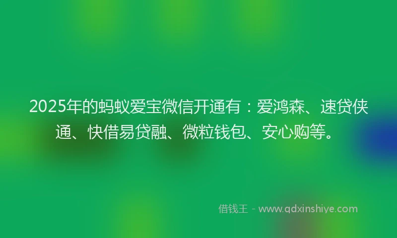 2025年的蚂蚁爱宝微信开通有：爱鸿森、速贷侠通、快借易贷融、微粒钱包、安心购等。
