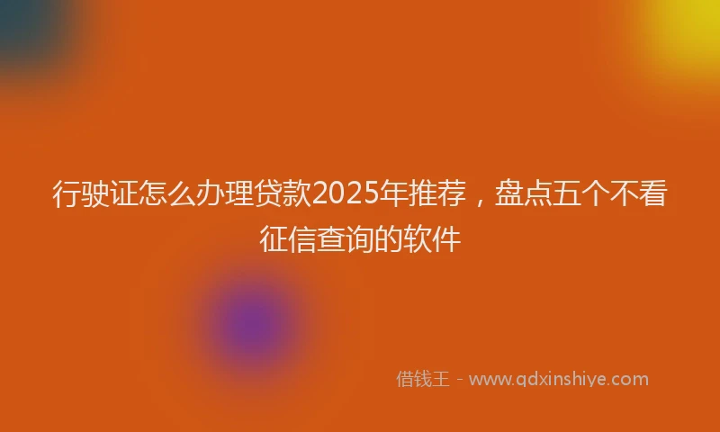 行驶证怎么办理贷款2025年推荐，盘点五个不看征信查询的软件