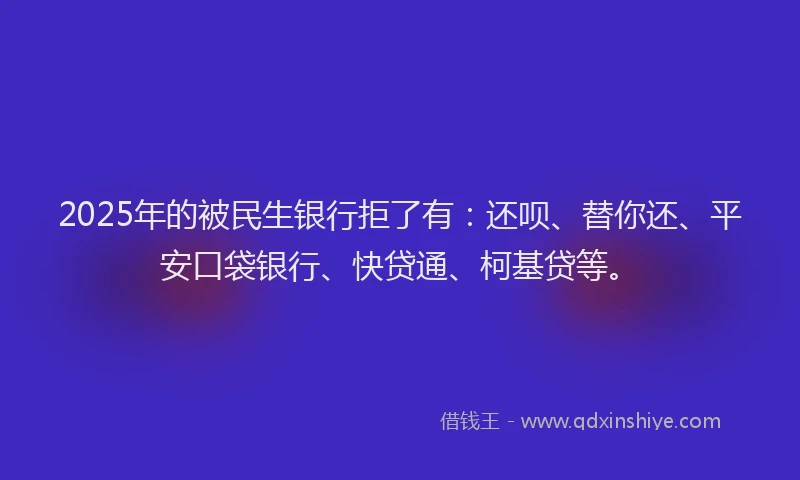 2025年的被民生银行拒了有：还呗、替你还、平安口袋银行、快贷通、柯基贷等。