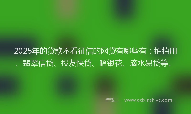 2025年的贷款不看征信的网贷有哪些有：拍拍用、翡翠信贷、投友快贷、哈银花、滴水易贷等。