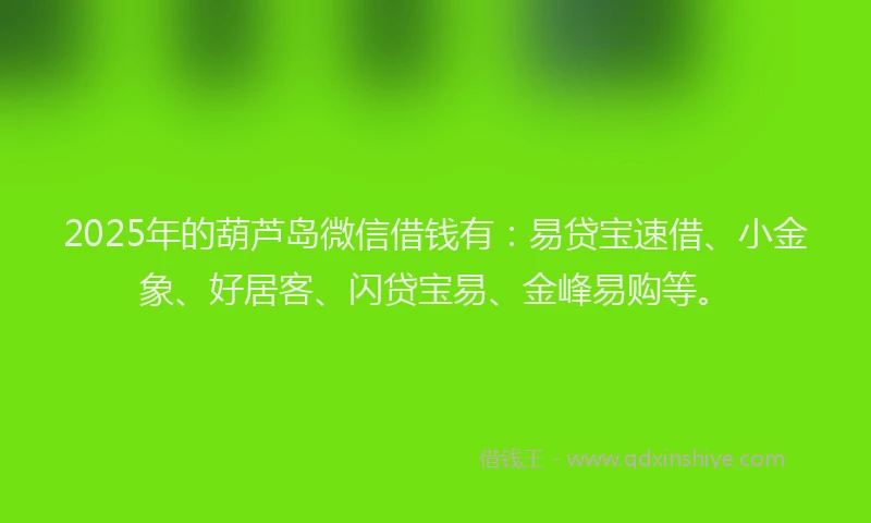 2025年的葫芦岛微信借钱有：易贷宝速借、小金象、好居客、闪贷宝易、金峰易购等。