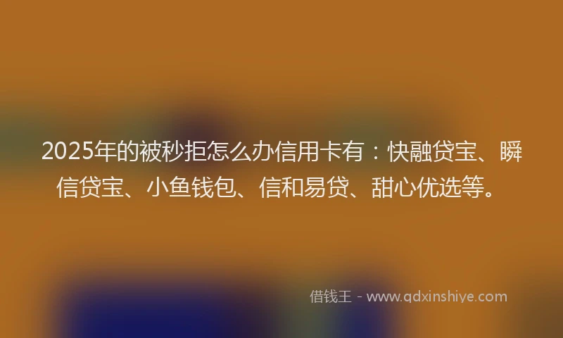 2025年的被秒拒怎么办信用卡有：快融贷宝、瞬信贷宝、小鱼钱包、信和易贷、甜心优选等。
